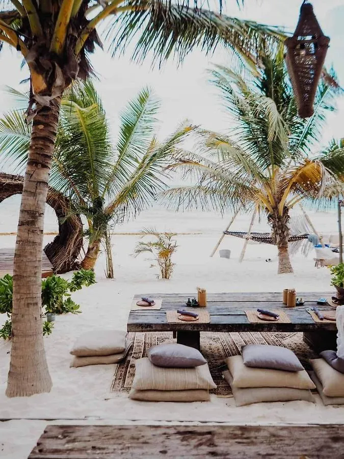 Rocky Villa In Tulum Beach Walking Distance To Papaya Project! Prázdninový dům