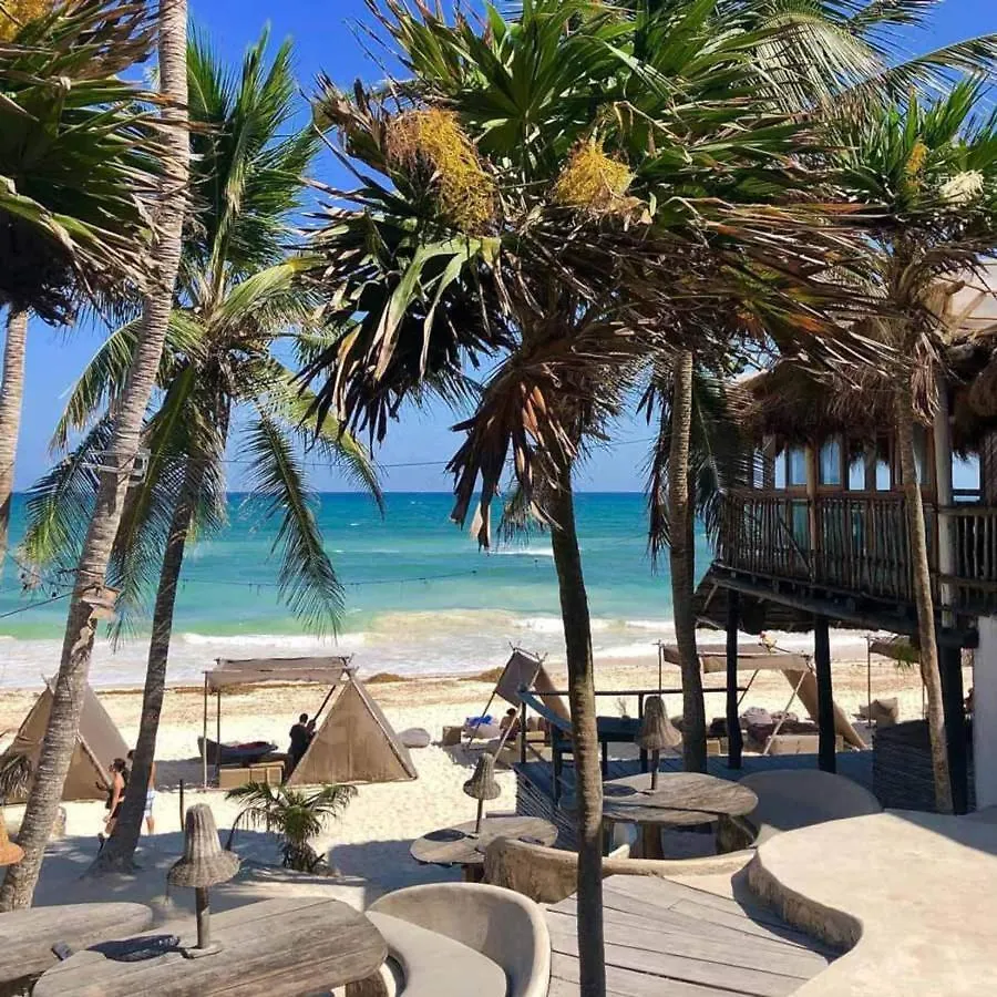 Rocky Villa In Tulum Beach Walking Distance To Papaya Project! Mexiko